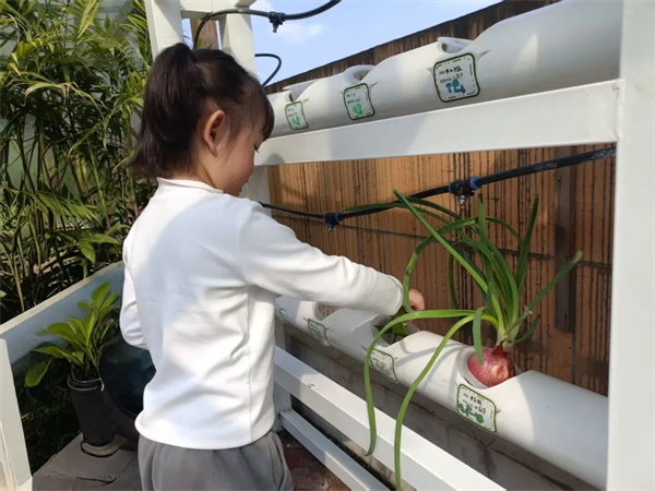 1773628954353654.jpg 20260315_225326_022.jpg