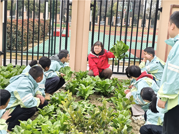 1773824000939809.jpg 微信图片_20260306133033_2419_288.jpg