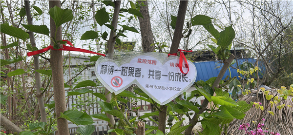 ���� (1).jpg