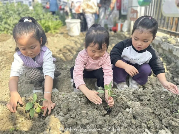 1773970800776722.jpg 20260319_232612_393.jpg