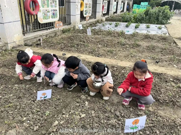 1773970819258834.jpg 20260319_232612_403.jpg