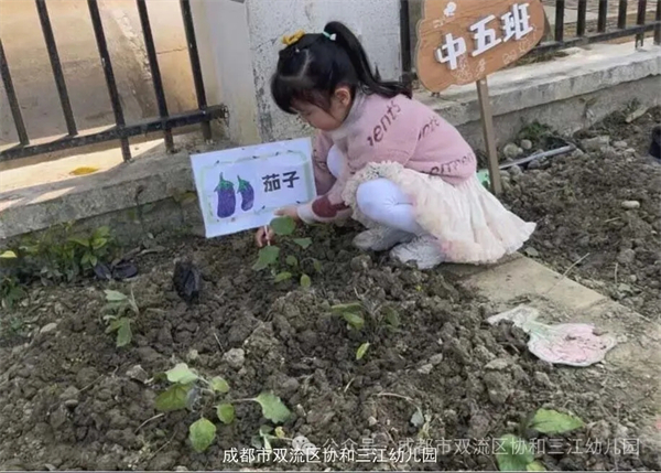 1773970844490560.jpg 20260319_232612_406.jpg