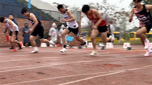 1773986135640512.png 图片18.png