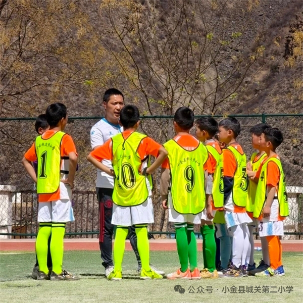 1773992159259454.jpg mmexport1773991280820.jpg