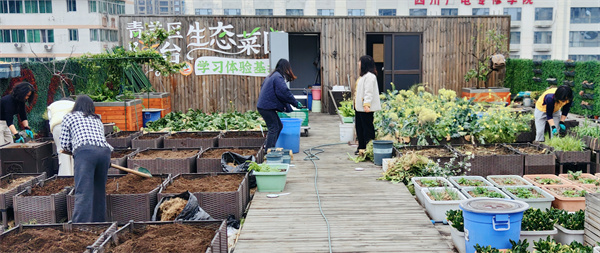 1774232959538489.jpg 06.jpg