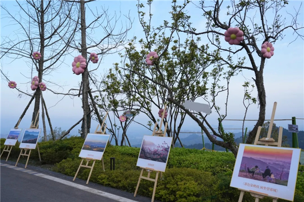 1774248786436830.jpg 20260322_212543_035.jpg