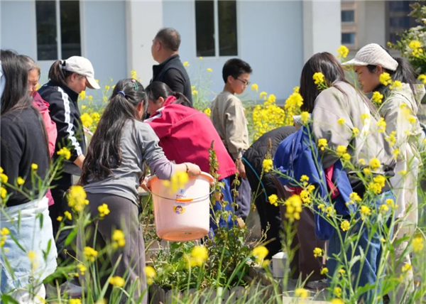 1774401734165796.jpg 20260324_224832_073.jpg