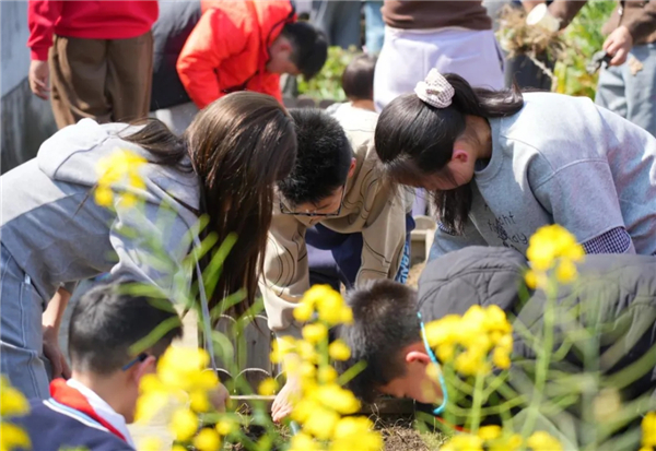 1774401737933008.jpg 20260324_224832_074.jpg