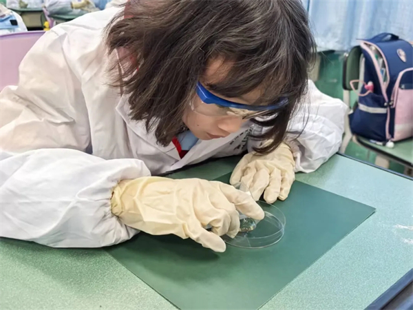 1774834494755354.jpg 20260328_021357_174.jpg