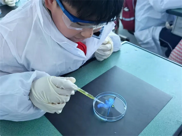 1774834512239823.jpg 20260328_021357_177.jpg