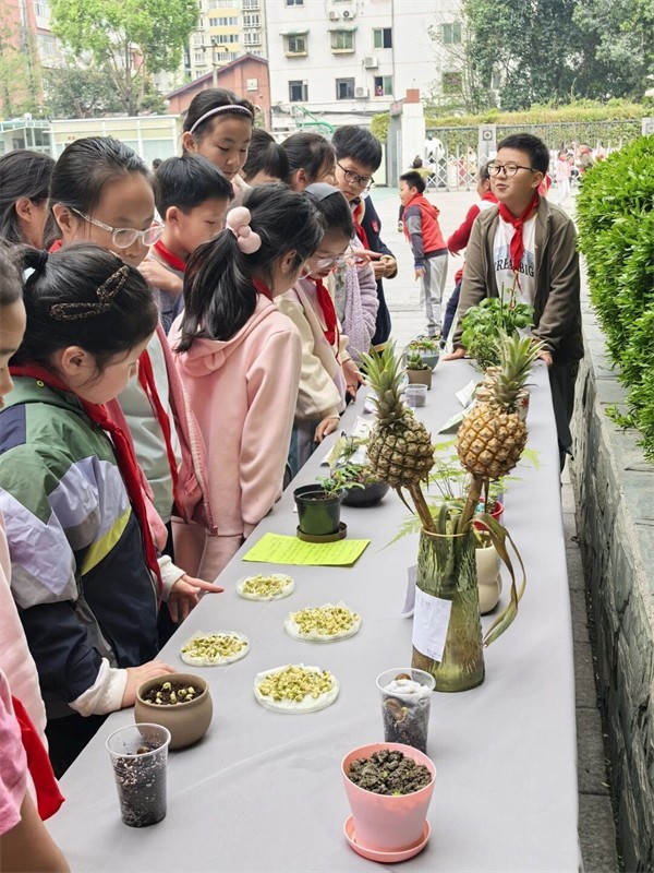 1774852917419355.jpg 1774852917419355.jpg