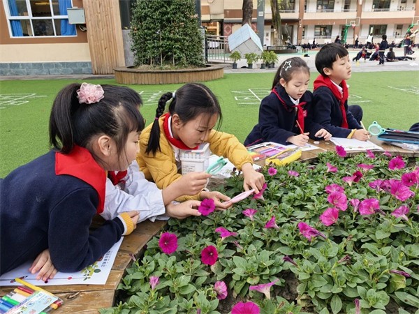 1774853055251674.jpg 10.jpg