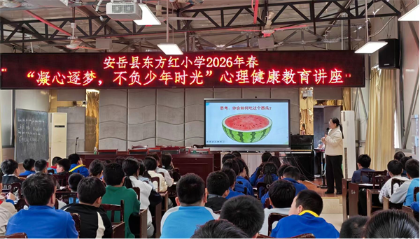 1774859333540230.png 图片2.png