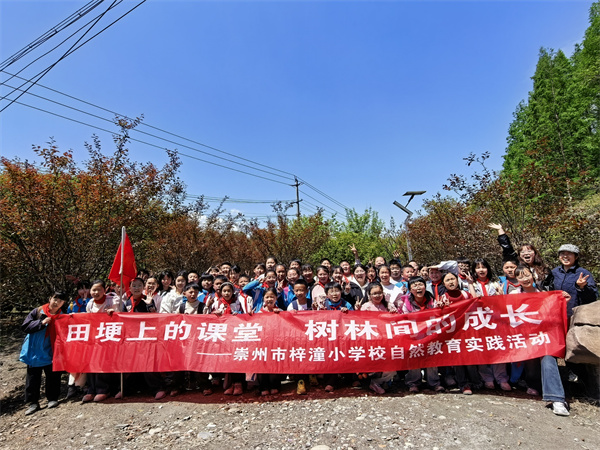 1775120042225124.jpg 3-14.jpg