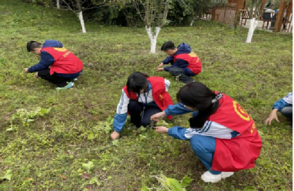 1775192519760812.png 1000005678.png