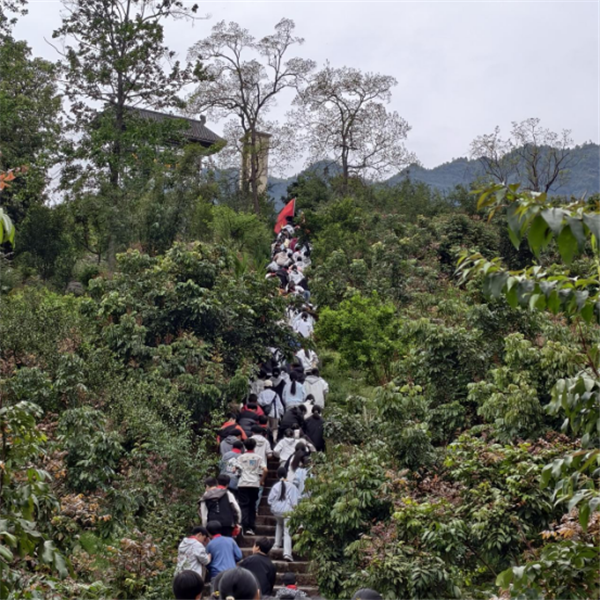 1775198731195383.png 缅怀革命先烈,铸就时代忠魂活动简报(1)415.png