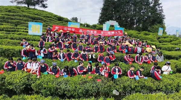 1775616657184325.jpg 1.jpg