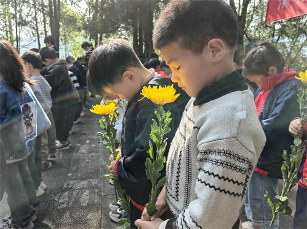 1775640125659503.png 图片16.png