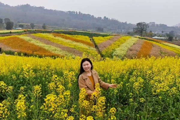 1775720172392075.jpg 图一.jpg