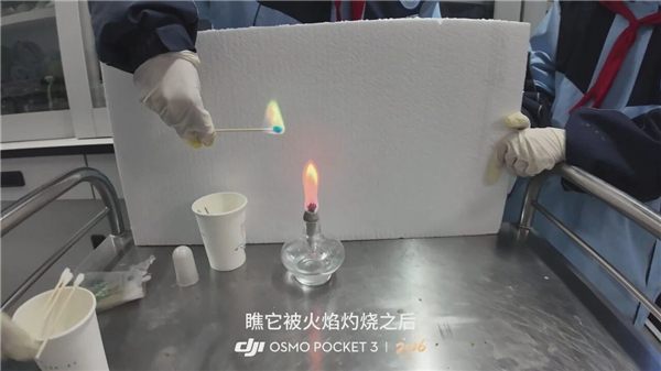 1775962569333029.jpg mmexport1775911855274.jpg