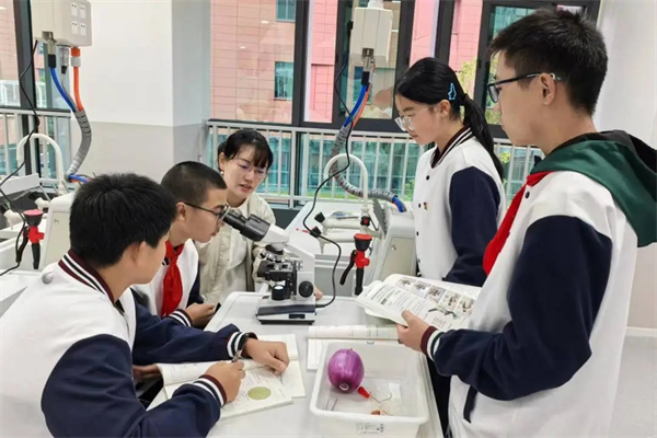 1776048172709310.jpg 20260410_233055_187.jpg