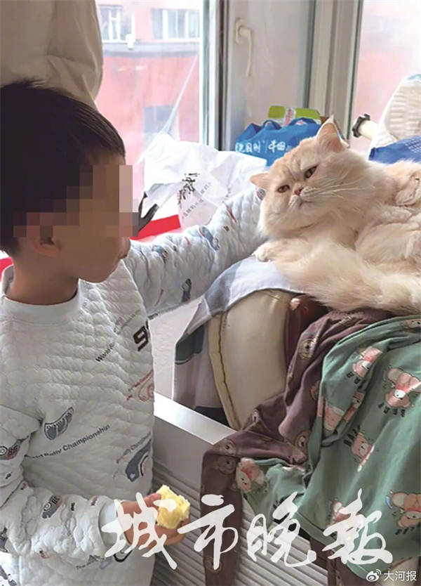 1776124448226158.jpg 001TnUG6ly4ic5aoy6h1dj60u015qdk902.jpg