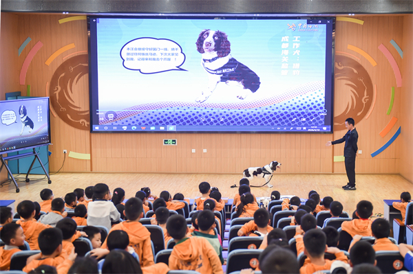 1776130799886044.jpg 工作犬实景展演1.jpg