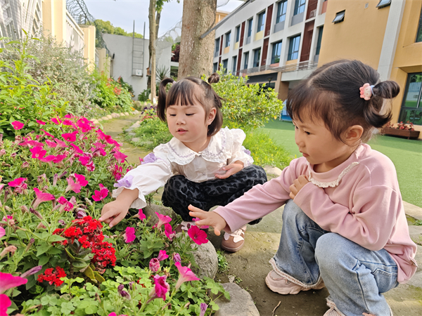 1776392952730771.jpg 色彩大搜索 (1).jpg