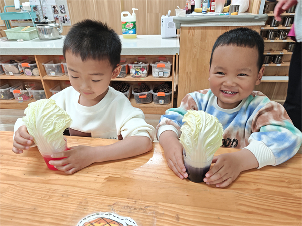 1776393003145944.jpg 蔬菜变变变3.jpg