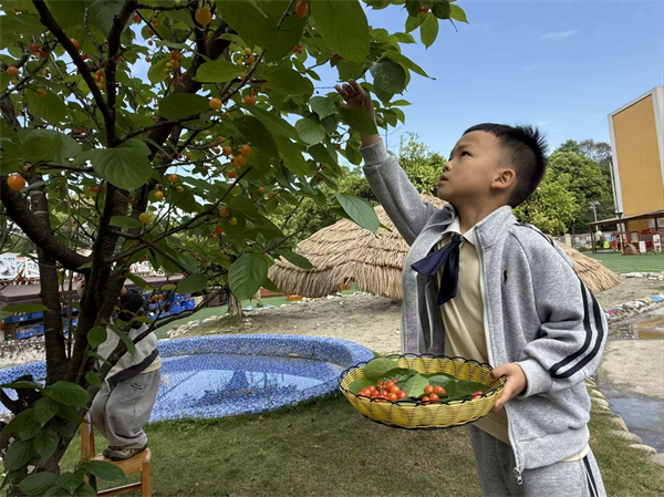 1776393319274387.jpg 摘4.jpg