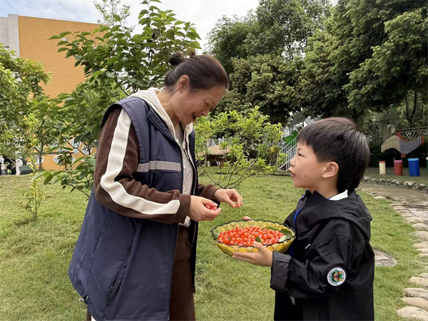 1776393347600443.jpg 分享5.jpg