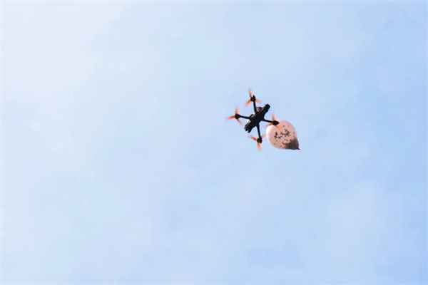 1780279872714835.jpg 20260531_220608_1185.jpg