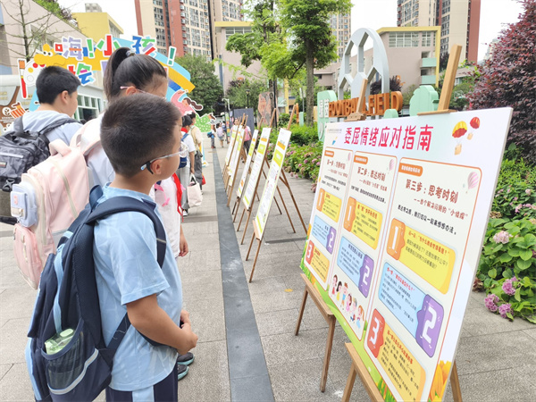 1781138628382425.jpg 图片12.jpg
