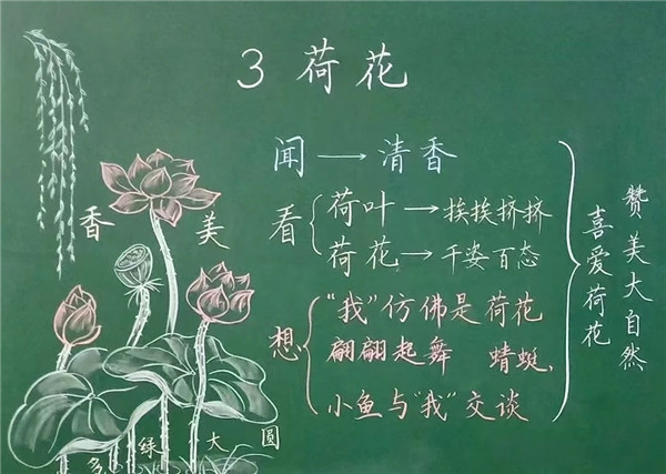 1781141135507669.jpg