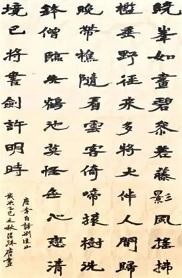 1781227768387127.jpg