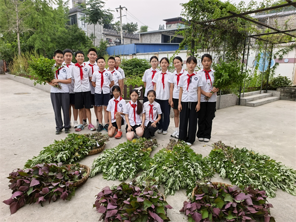 1781589704307623.jpg 微信图片_20260615164112_312_7.jpg