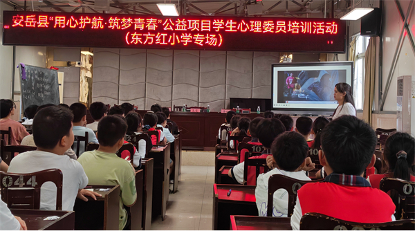 1781676852509376.jpg 图片2.jpg