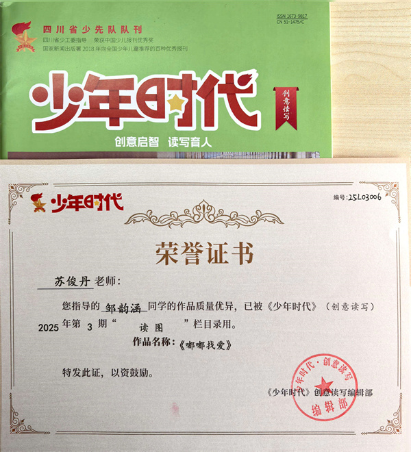 1781774512424921.jpg 图30.jpg